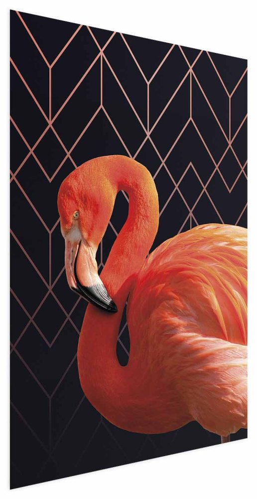 Poster - Flamingo Solo