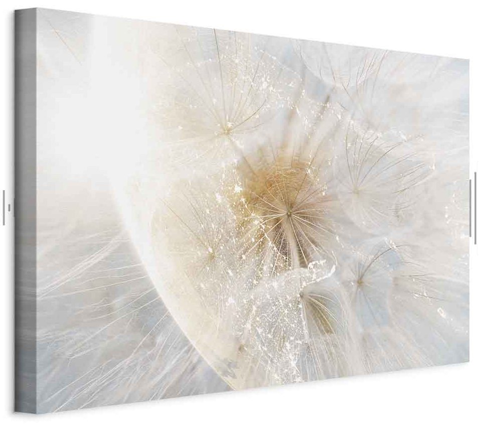 Leinwandbild - Dandelion in the Sun (1 Part) Wide