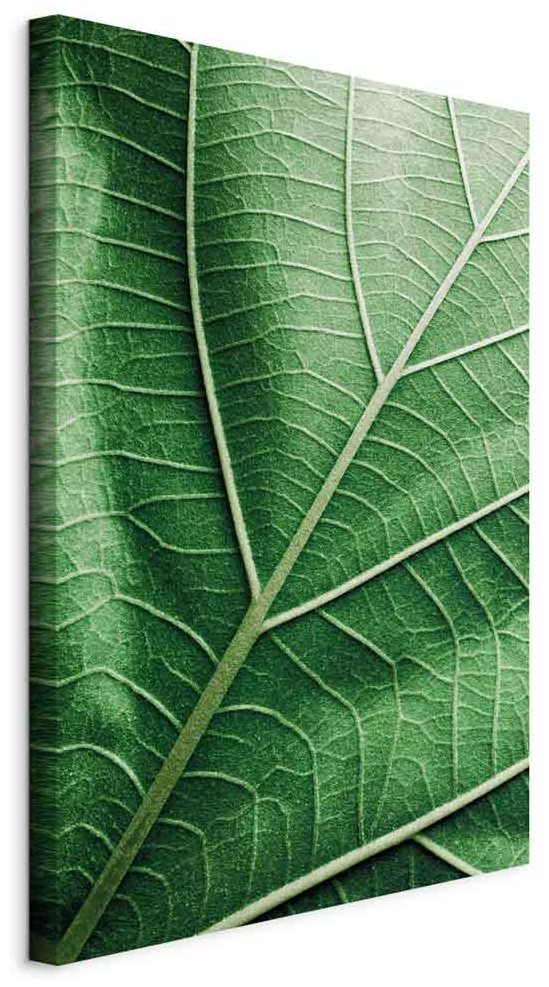 Leinwandbild - Malachite Leaf (1 Part) Vertical
