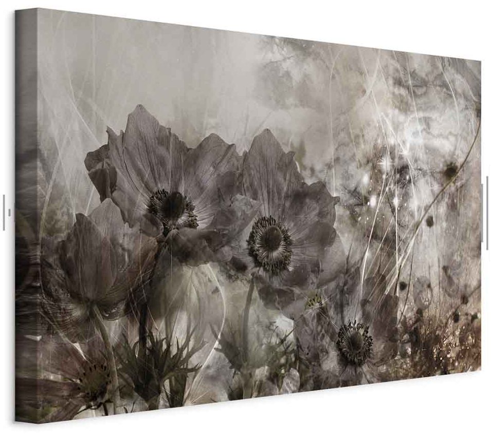 Leinwandbild - Anemones in Sepia (1 Part) Wide