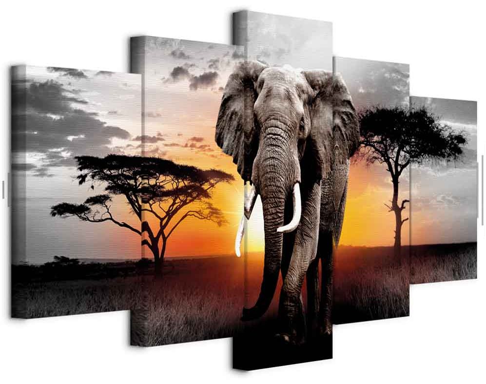 Leinwandbild - Elephant at Sunset