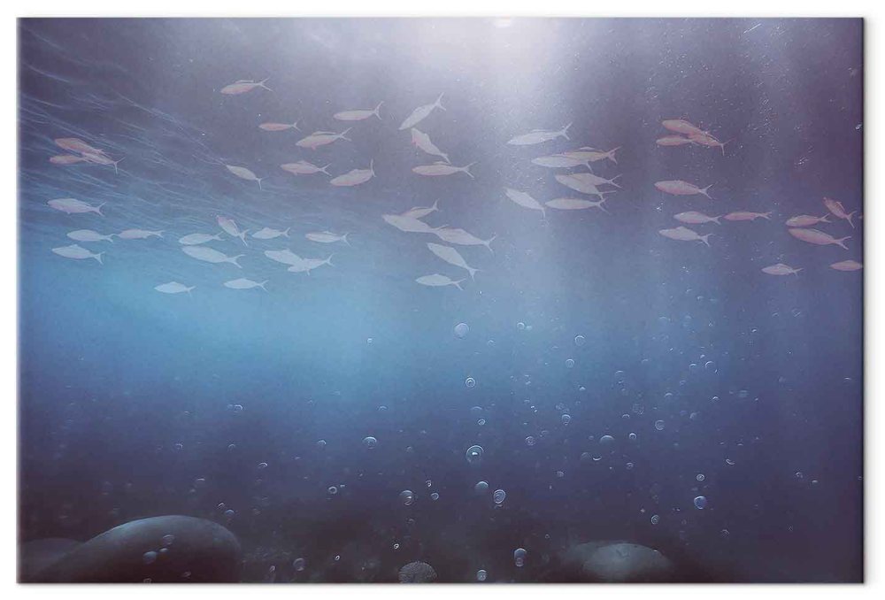Leinwandbild - Fish in the depths