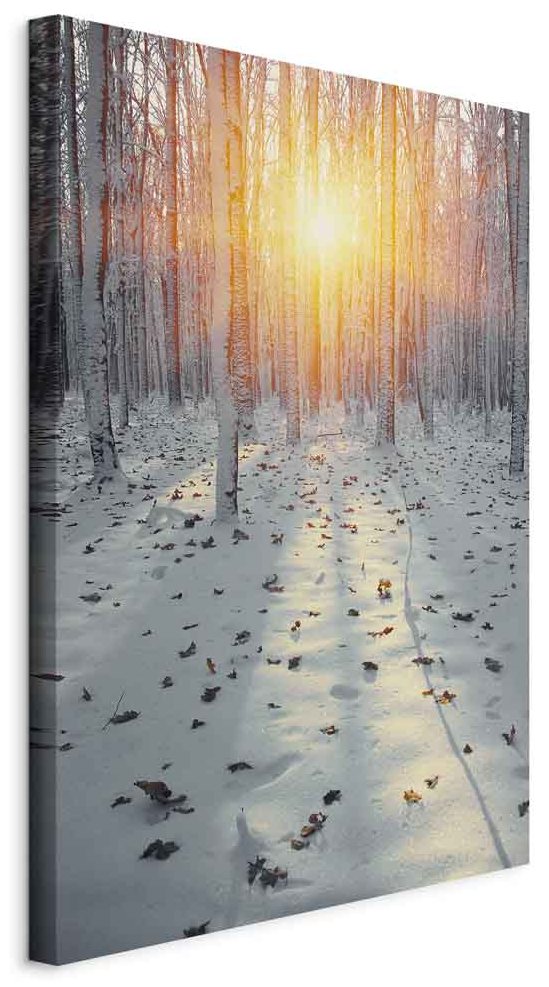 Leinwandbild - Winter Afternoon (1 Part) Vertical