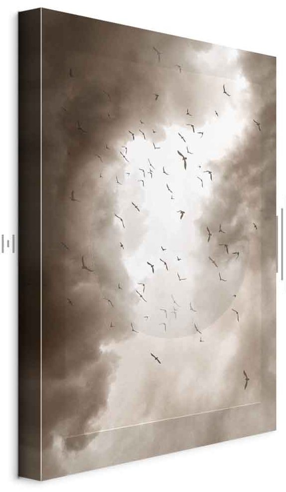 Leinwandbild - Birds in the Clouds (1 Part) Vertical
