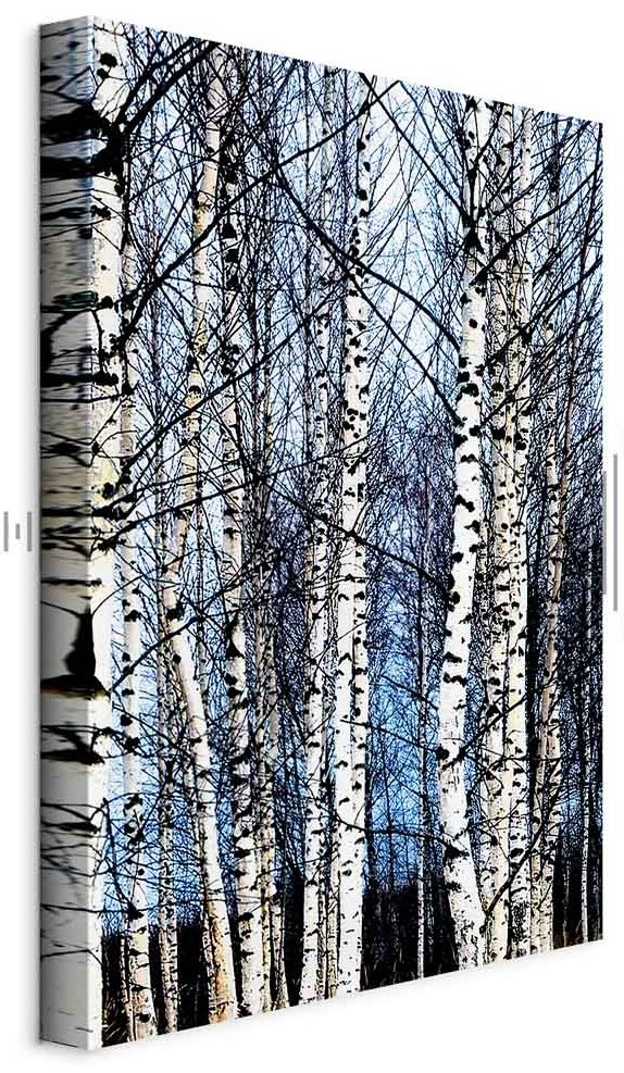 Leinwandbild - Frosty January (1 Part) Vertical