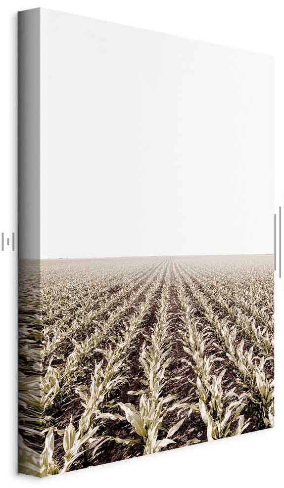 Leinwandbild - Corn Field (1 Part) Vertical